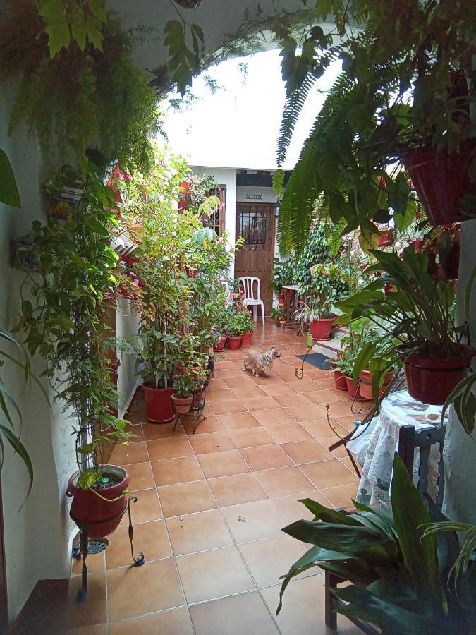 Ferienwohnung Arco De La Cobijada Vejer de la Frontera Exterior foto